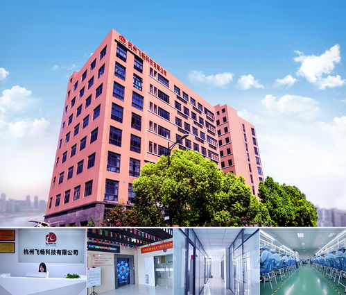 Cisco核心交换机与双路由器连接配置及工业交换机品牌推荐