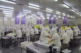 食品厂空气环境无菌净化方案及消毒灭菌技术应用开发指南